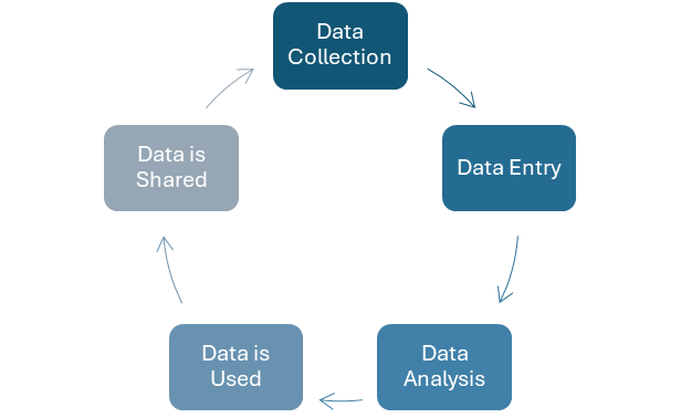 Figure demonstrating how data collection, data entry, data analysis, data is used, and data is shared are connected in a data feedback loop
